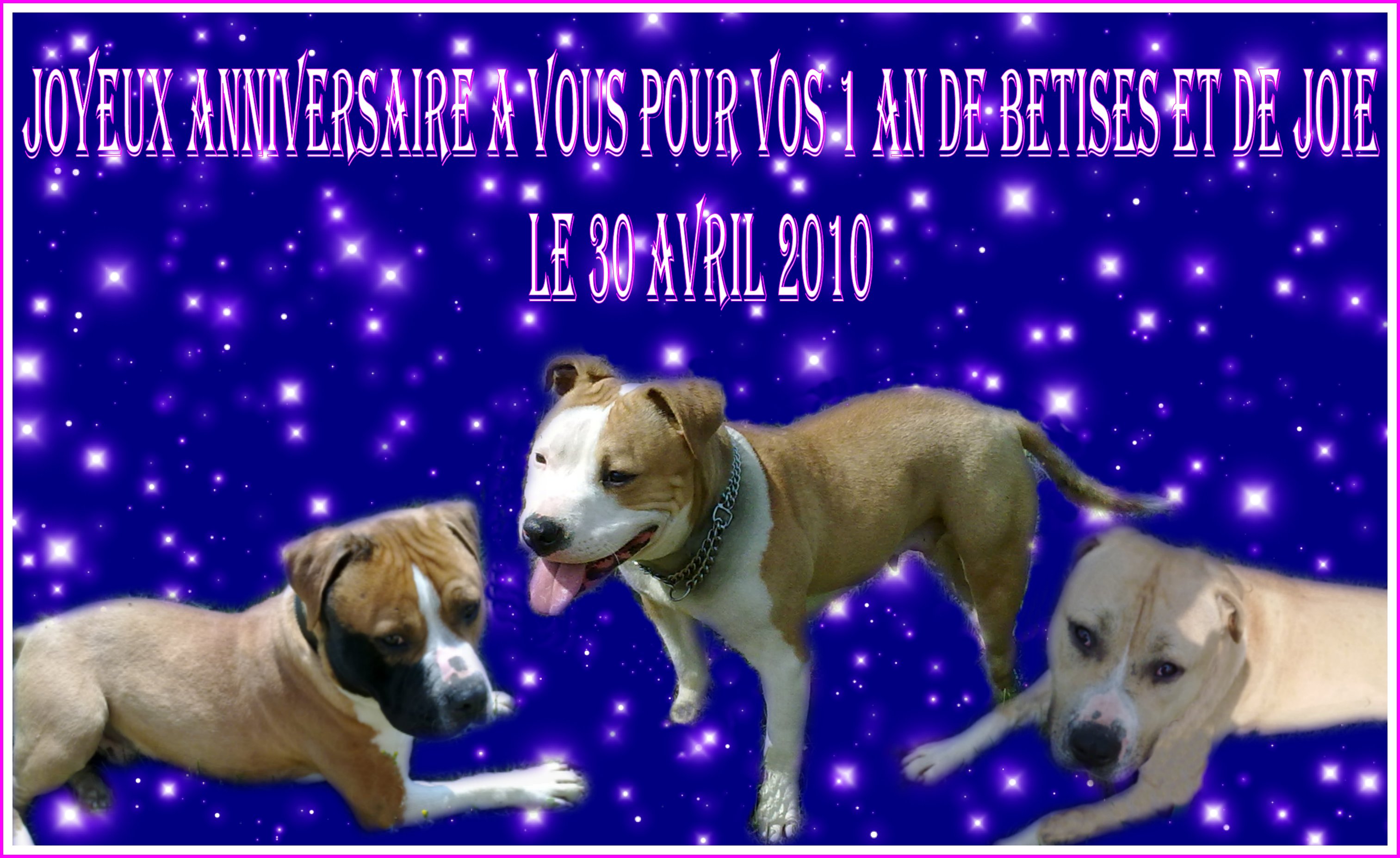 New Nouvelle Boutique Brit En Ligne Brit Croquettes Gamme Chien Et Chiot New Nouvelle Boutique Brit En Ligne Brit Croquettes Gamme Chien Et Chiot